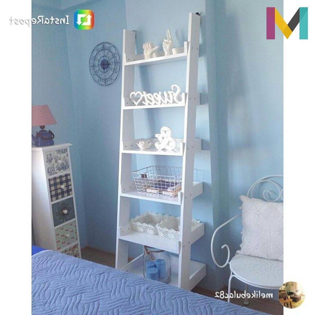 Nitelik Mobilya Class Lake Montessori Kitaplik Fiyatlari Ve Ozellikleri